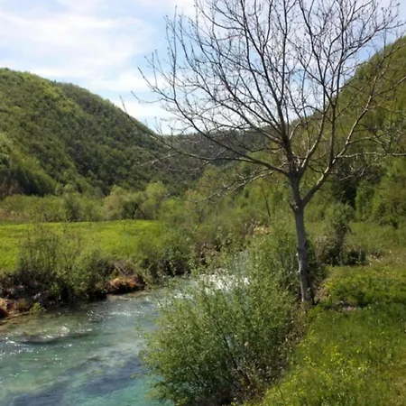 Appealing In With Shared Pool * Makarska